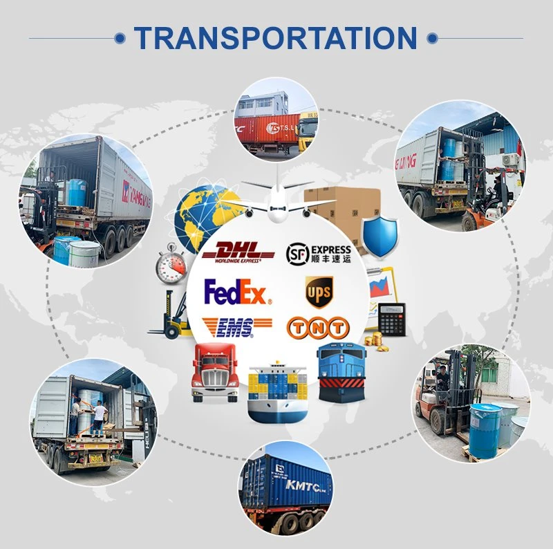 Transportation Transportation